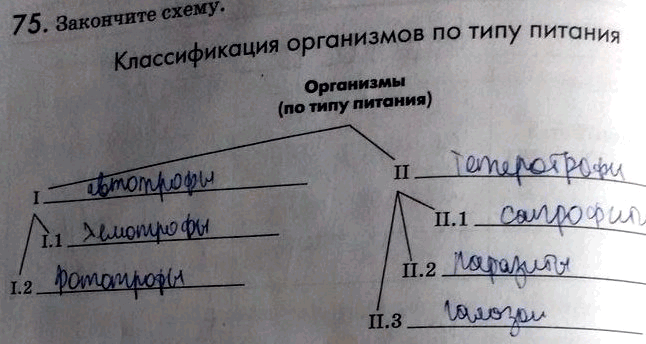 Изображение Упр.75 Рабочая тетрадь Пасечник 9 класс (Биология)