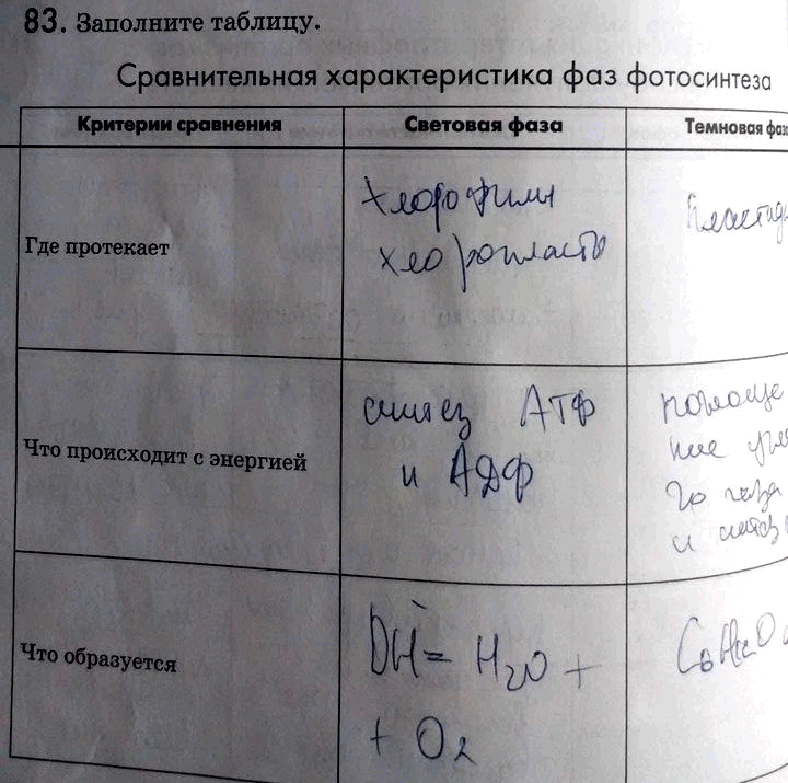 Таблица критерии сравнения. Критерии сравнения световая фаза темновая фаза. Критерии сравнения световая фаза темновая фаза таблица. Сравнительная характеристика фаз фотосинтеза. Таблица сравнительная хар- ка фаз фотосинтеза.