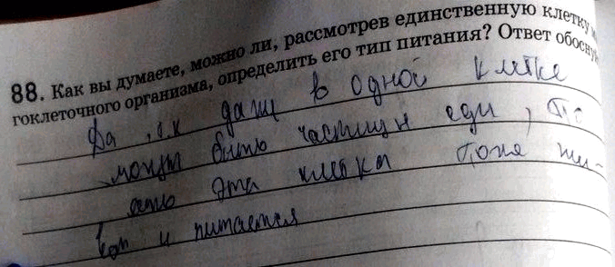 Изображение Упр.88 Рабочая тетрадь Пасечник 9 класс (Биология)