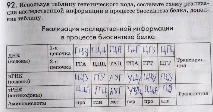 Проанализировав текст и рисунки параграфа продолжите заполнение в тетради таблицы биология 9