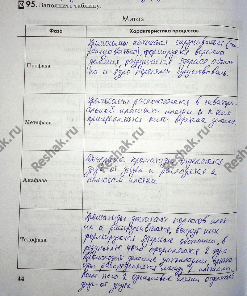 ����������� 95. ��������� �������. ��������� �������������� ��������� ������� �������� ������� ��������...