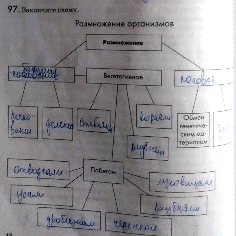 Закончите заполнение схемы