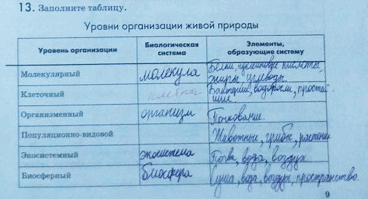 Заполните таблицу уровни организации живой природы