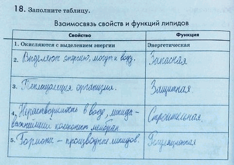 Изображение Упр.18 Рабочая тетрадь Пасечник 9 класс (Биология)