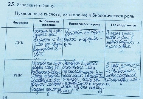 Изображение Упр.25 Рабочая тетрадь Пасечник 9 класс (Биология)