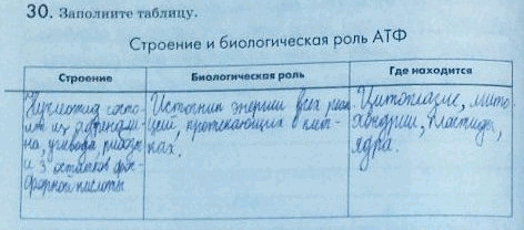 Заполните таблицу строение. Строение и биологическая роль АТФ таблица. Заполните таблицу строение и биологическая роль АТФ. Строение биологическая роль где находится АТФ таблица.