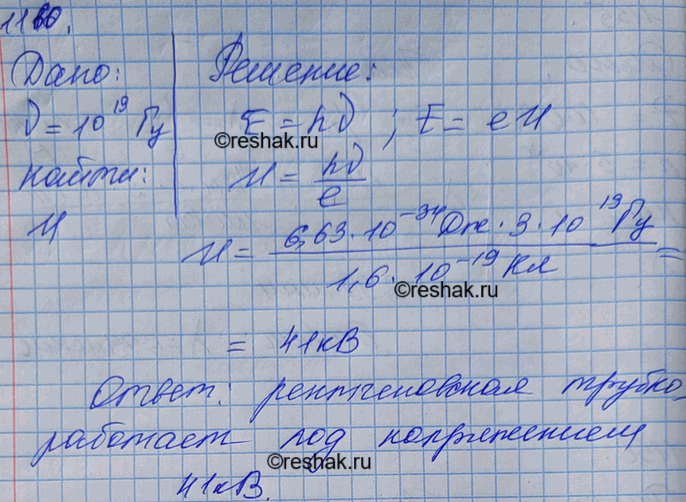       ,            1019...