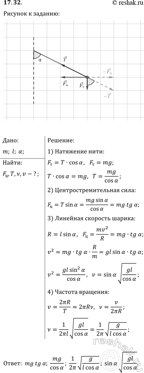 ����������� 17.32. ��������� ����� ������ m, ����������� �� ���� ������ l, ��������� � �������������� ��������� ������ ������������ ���. ���� �������� � ���� �������� ���� �����....
