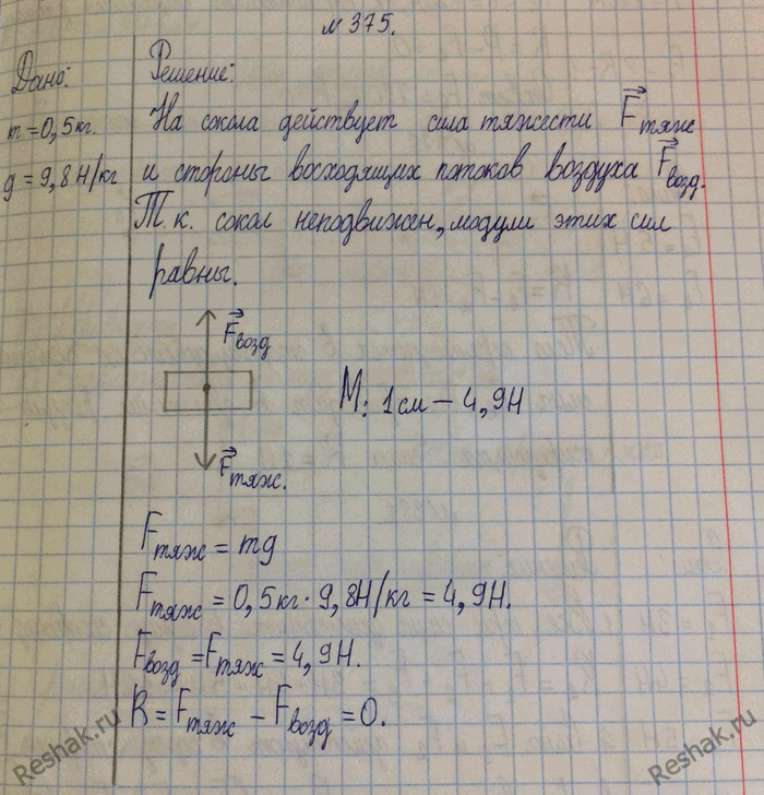 Масса 500 г. Найдите силу тяжести действующую на скола. Сокол благодаря восходящим потокам воздуха. Найдите силу тяжести действующую на Сокола. Изобразите силу графически массой 5т.