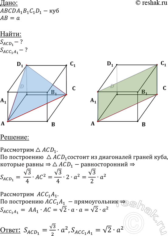 ����������� ����� ���� ����� �. ������� ������� �������, ����������� ����� ��������� ���� ���...