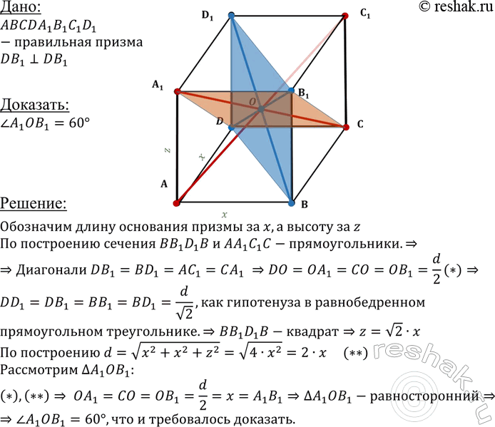 ����������� B ���������� ��������������� ������ ABCDA1B1C1D1 ��������� B1D � D1B ������� ���������������. ��������, ��� ���� ����� ����������� A1C � B1D ������ �����...