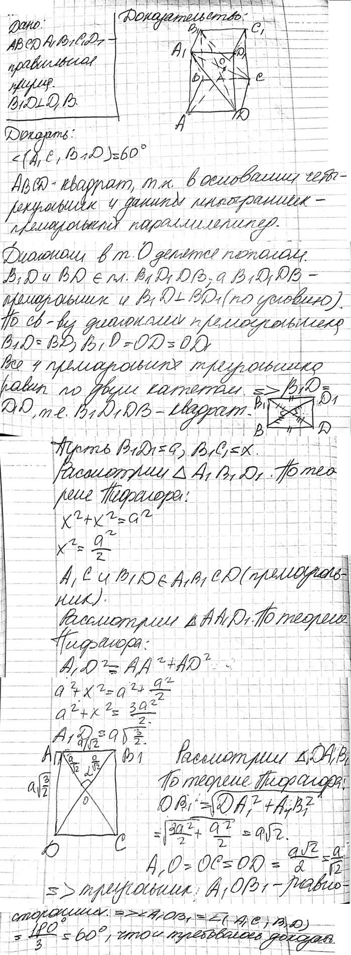 ����������� B ���������� ��������������� ������ ABCDA1B1C1D1 ��������� B1D � D1B ������� ���������������. ��������, ��� ���� ����� ����������� A1C � B1D ������ �����...