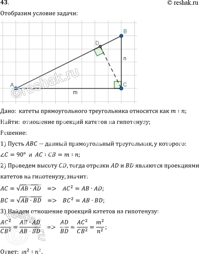 Изображение 43 Катеты прямоугольного треугольника относятся как m : n. Как относятся проекции катетов на...