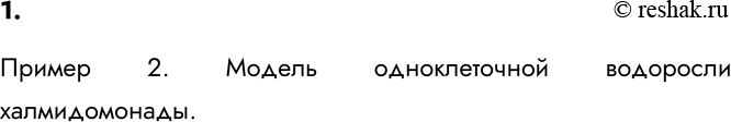 Изображение 1. В каком из примеров параграфа использовано больше всего слов-профессионализмов?    Пример 2. Модель одноклеточной водоросли...