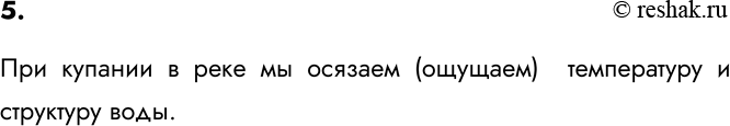 Изображение 5. Какие ощущения вы испытывали, купаясь летом в реке?    При купании в реке мы осязаем (ощущаем)  температуру и структуру...