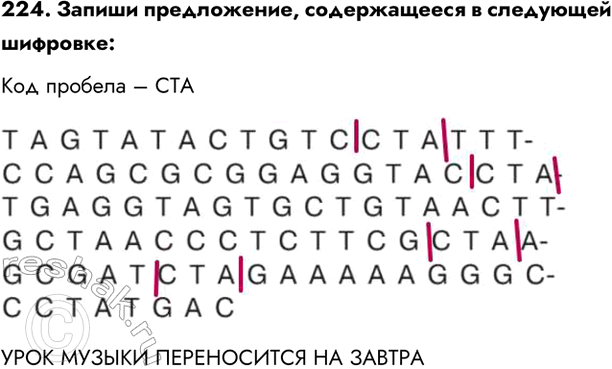  224.  ,    :   CTA   ...