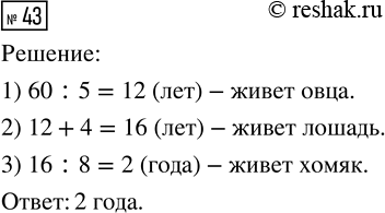 ����������� ������� 43 ���������� ����� 3 ��� �������� 3 �����