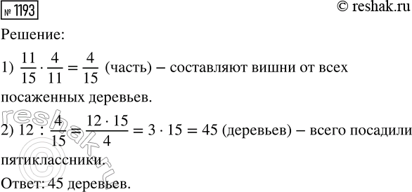 ����������� ���.1193 ��� ������� ��������� 5 �����