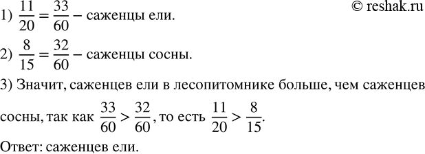 Изображение В лесопитомнике 11/20 всех деревьев занимают саженцы ели, а 8/15 всех деревьев - саженцы сосны. Каких саженцев в лесопитомнике больше: ели или...
