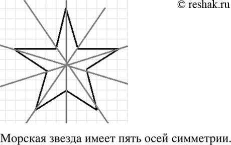 Изображение Сколько осей симметрии у морской звезды (рис. 8.1)? Сделайте в тетради схематический рисунок и покажите на нём оси...