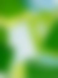 ����������� �������� �� ���������� ������� ������� ������� ��������� 6 �����