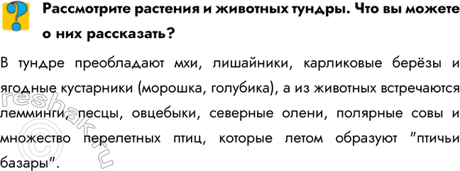 ����������� ����������� �������� � �������� ������. ��� �� ������ � ��� ����������?� ������ ����������� ���, ���������, ���������� ����� � ������� ���������� (�������, ��������),...