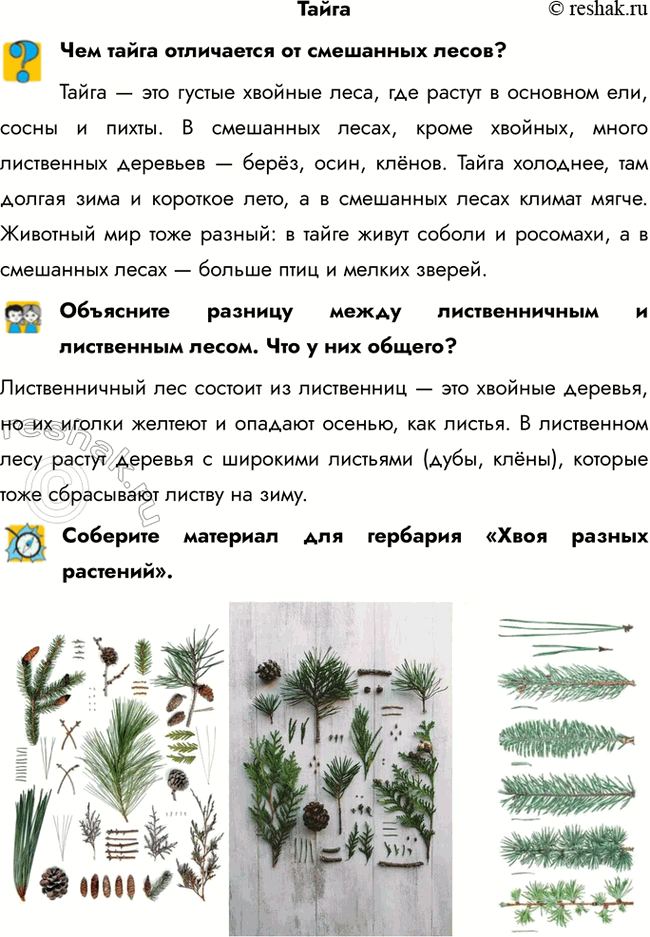 ����������� �������� ����� ���������� �� ��������� �����?����� � ��� ������ ������� ����, ��� ������ � �������� ���, ����� � �����. � ��������� �����, ����� �������, �����...