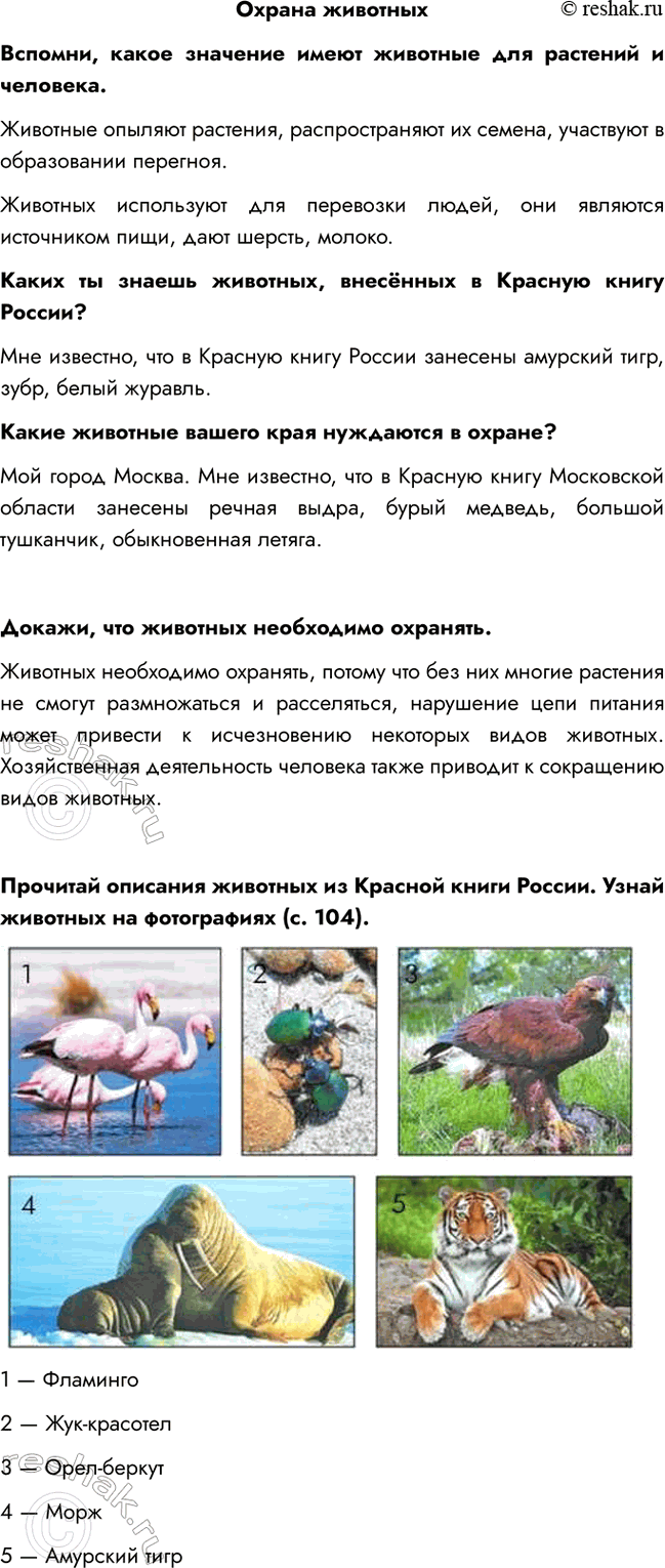   ,        .  ,   ,   ...