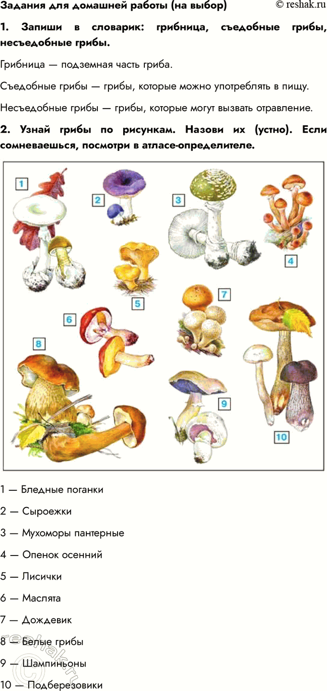      ( )1.   : ,  ,  .    .   ,...