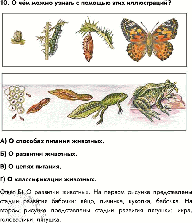 �������������� �����������