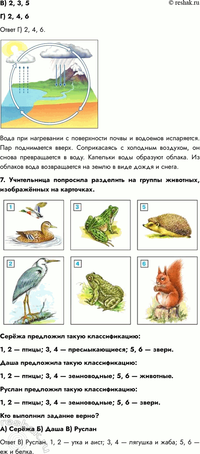 �������������� �����������