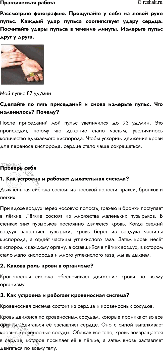    .       .      .     ...