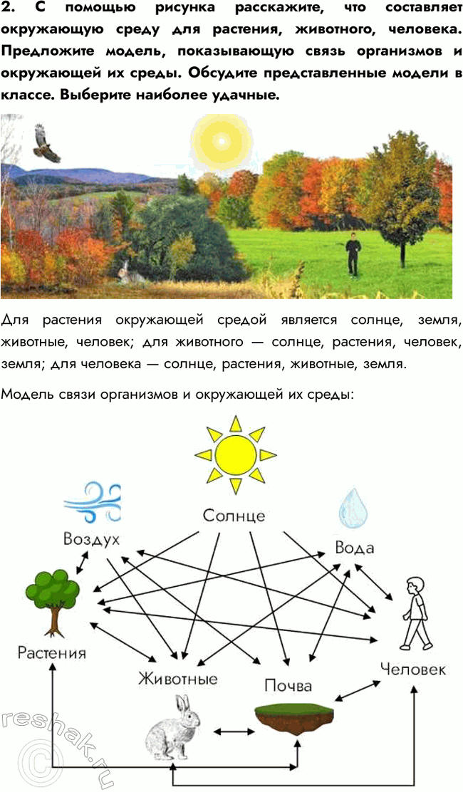 �������������� �����������