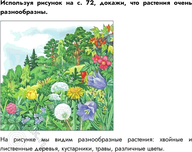     . 72, ,    .     :    , , ,...