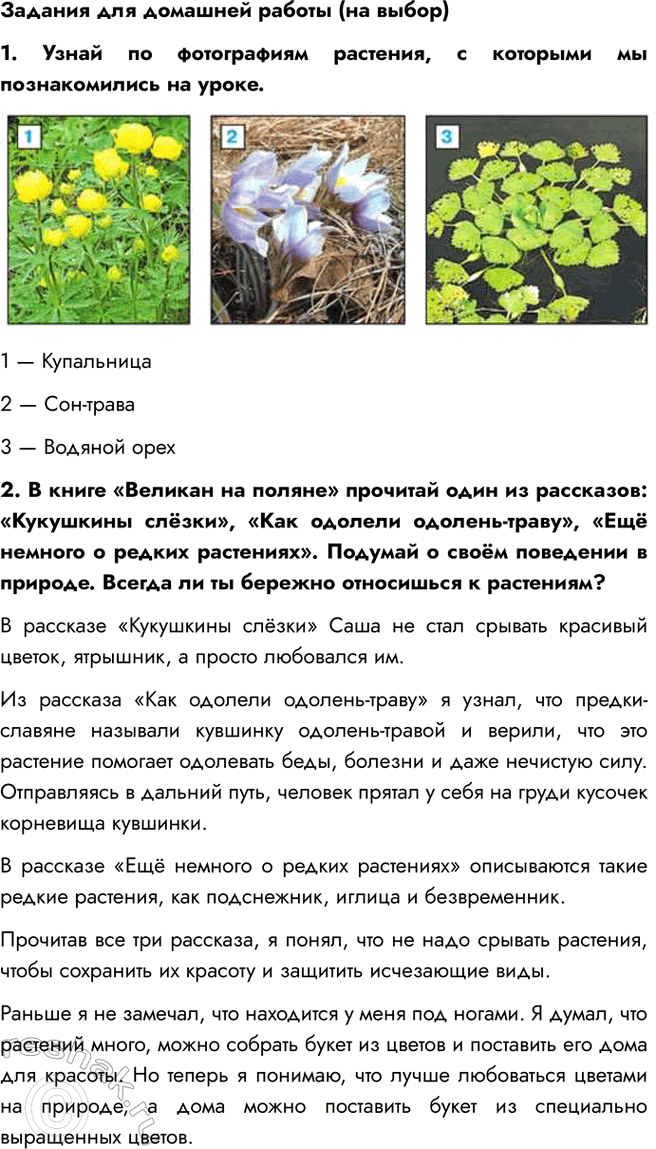 �������������� �����������