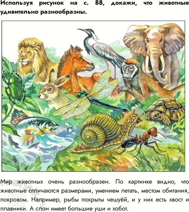     . 88, ,    .   .   ,    ,...