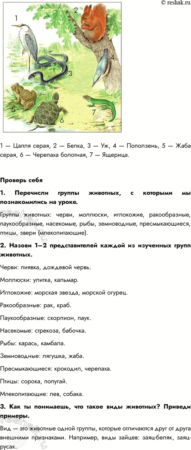 �������������� �����������