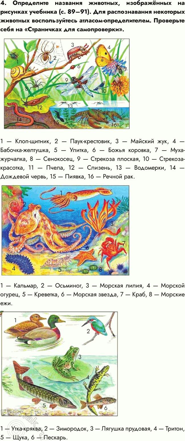 �������������� �����������