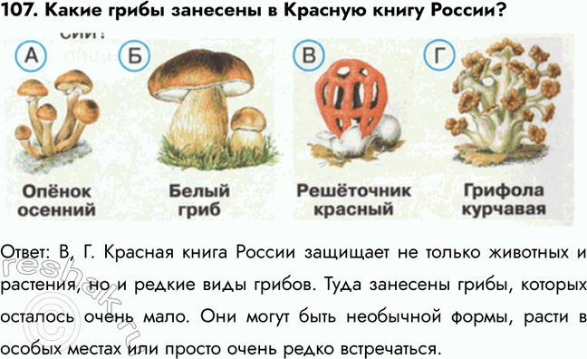 ����������� 107. ����� ����� �������� � ������� ����� ������?�����: �, �. ������� ����� ������ �������� �� ������ �������� � ��������, �� � ������ ���� ������. ���� ��������...