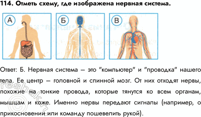 ����������� 109. ��� ����� �������� �����?�) � �����) ����� ������������� �����oB) �� �����) � ��������� ������������: �, �. ����� ��� ����� ��������� ���, ��� ���� �...