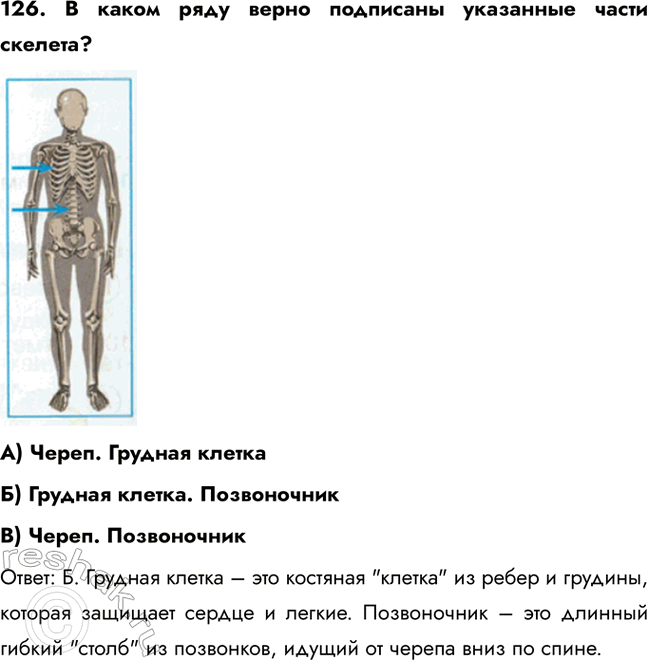 ����������� 126. � ����� ���� ����� ��������� ��������� ����� �������?�) �����. ������� �������) ������� ������. �����������B) �����. ����������������: �. ������� ������ �...