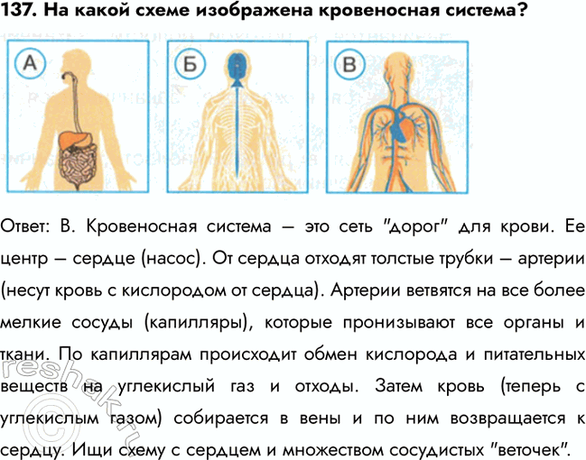 ����������� 132. ���������� ����� �� ��������:�) ��������� ������) ������������ ������) �������) ������������: �. ���� � ��� ������ ��������, ������� ���� ��� ������� ���...