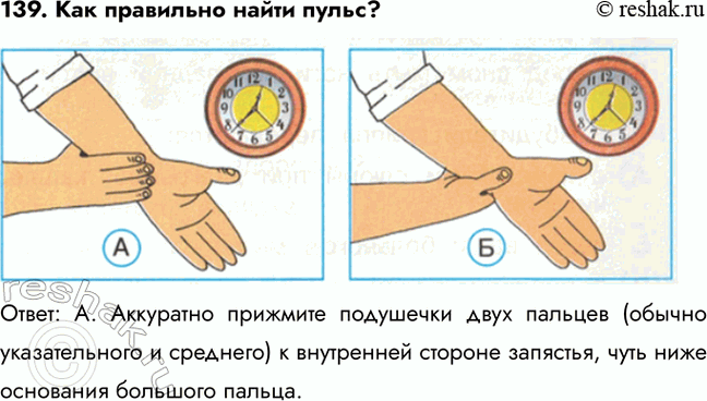 ����������� 139. ��� ��������� ����� �����?�����: �. ��������� �������� ��������� ���� ������� (������ ������������� � ��������) � ���������� ������� ��������, ���� ���� ���������...