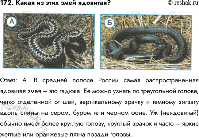 ����������� 167. ���� ������ ������?�) ������� � ���� � ���������� ����������) ������� � ������ � ������ �����B) ������������ ������ ��� ������, ���������� ��� ������ �����)...