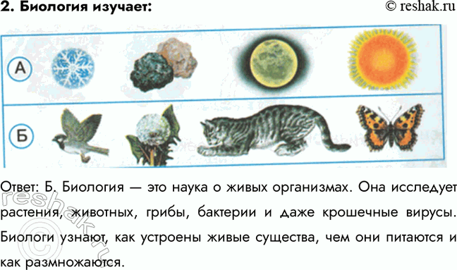 ����������� 2. �������� �������.�����: �. �������� � ��� ����� � ����� ����������. ��� ��������� ��������, ��������, �����, �������� � ���� ��������� ������. ������� ������, ���...