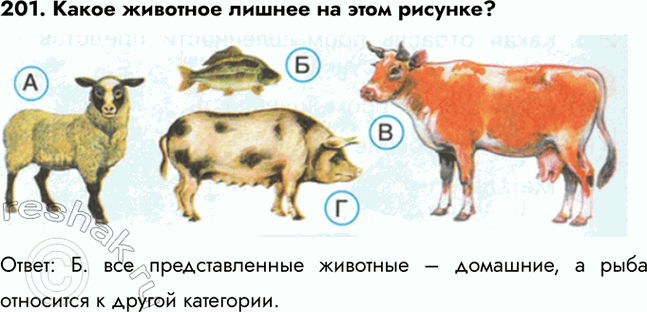 ����������� 201. ����� �������� ������ �� ���� �������?�����: �. ��� �������������� �������� � ��������, � ���� ��������� � ������...