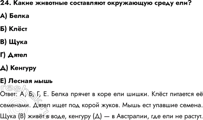 ����������� 24. ����� �������� ���������� ���������� ����� ���?�) ������) �����) �����) ������) ��������) ������ ���������: �, �, �, �. ����� ������ � ���� ��� �����....