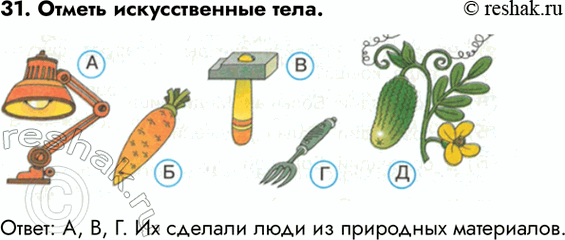 ����������� 31. ������ ������������� ����. �����: �, �, �. �� ������� ���� �� ���������...