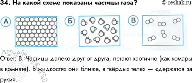 ����������� 29. � ����� ��������� ��������� ����� ����� ������ �� ����?�) ����� ����������) ������) ������� ϸ������: �. ������ � ��������� �������� ��� � ���� ���� ��...