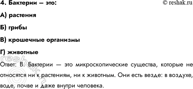 ����������� 4. �������� � ���:�) ���������) �����B) ��������� ����������) �������������: �. �������� � ��� ���������������� ��������, ������� �� ��������� �� � ���������,...